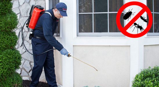 Çavdır Böcek İlaçlama böcek ilaçlama ve haşere kontrolü — ilaclama-tr.com